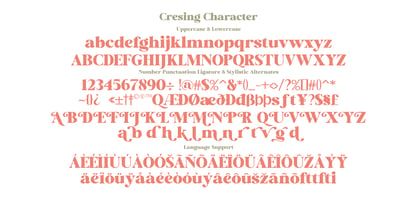 Cresing Font Poster 8