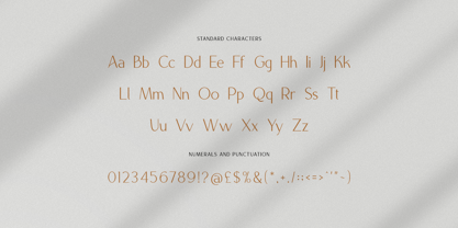 The Regimen Font Poster 9