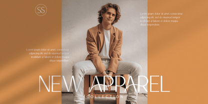 The Regimen Font Poster 2