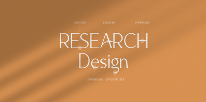 The Regimen Font Poster 8