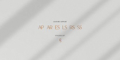 The Regimen Font Poster 11