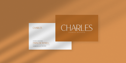 The Regimen Font Poster 4