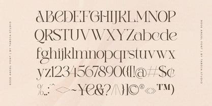 Rose Angel Modern Serif Font Poster 11