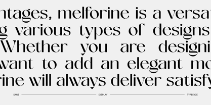 Melforine Font Poster 6