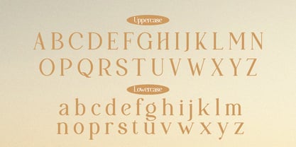 Papolina Font Poster 10