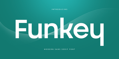 Funkey Font Poster 1