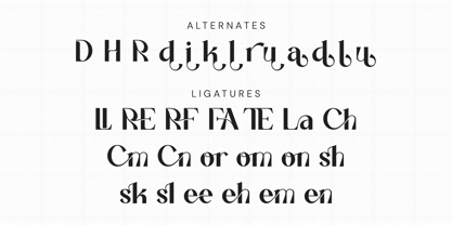 Farelin Font Poster 9