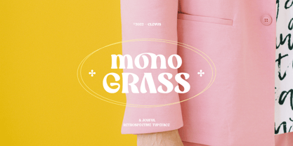 Mono Grass Fuente Póster 1