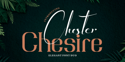 Chester Chesire Font Poster 1