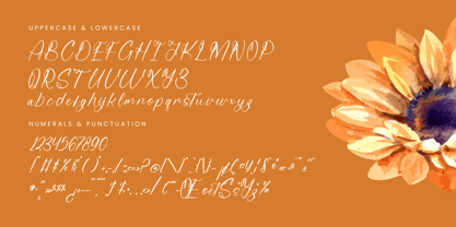 Beauty Autumn Italic Font Poster 7