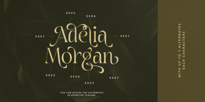 Adelia Morgan Font Poster 10