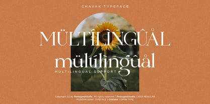 Chavak Font Poster 10