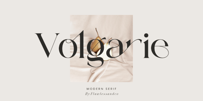 Volgarie Font Poster 1