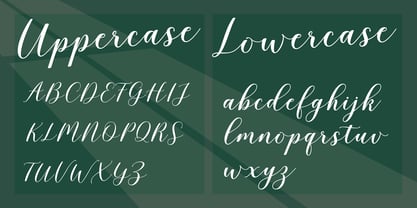 Blushline Script Font Poster 12