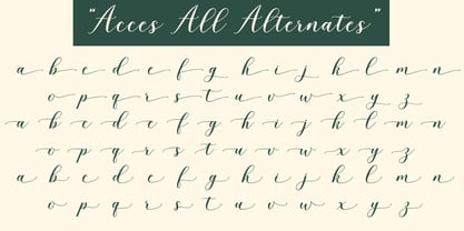 Blushline Script Font Poster 13