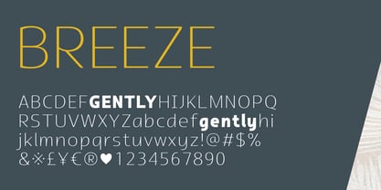ZF Gently Font Poster 2