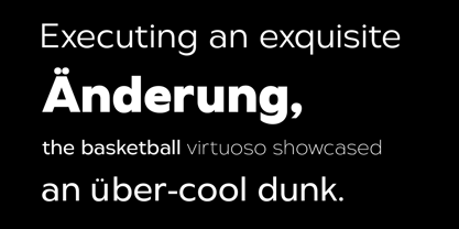 Dunking Grotesk Font Poster 5