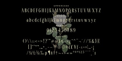 LT Serif Font Poster 7