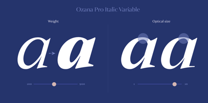 Ozana Pro Display Font Poster 14