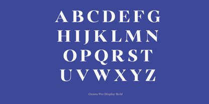 Ozana Pro Display Font Poster 10