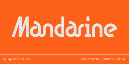 BD Orange Font Poster 5