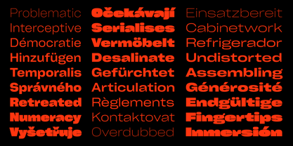 Cy Grotesk Font Poster 9