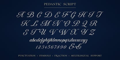 Pedantic Font Poster 14