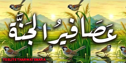 TE Elite Tharwat Emara Font Poster 13