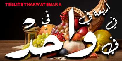 TE Elite Tharwat Emara Font Poster 2