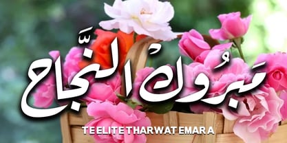 TE Elite Tharwat Emara Font Poster 12