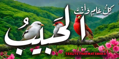 TE Elite Tharwat Emara Font Poster 11