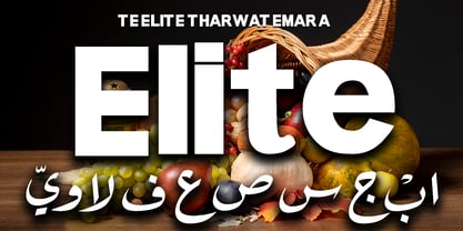 TE Elite Tharwat Emara Font Poster 1