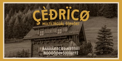 Cedrico Police Affiche 5