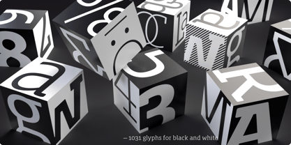 Whiteblack Font Poster 5