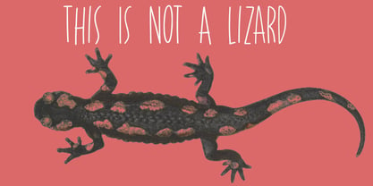 Chill Lizard Font Poster 3