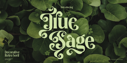 True Sage Font Poster 7