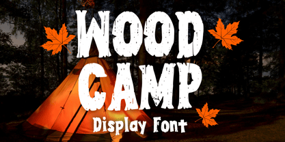 Wood Camp Font Poster 1