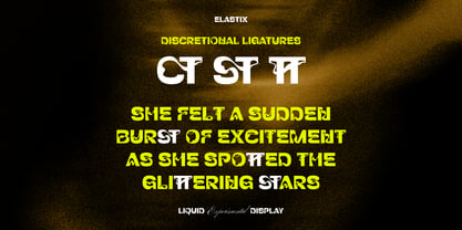 Elastix Font Poster 5