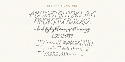 Bestina Signature Font Poster 8