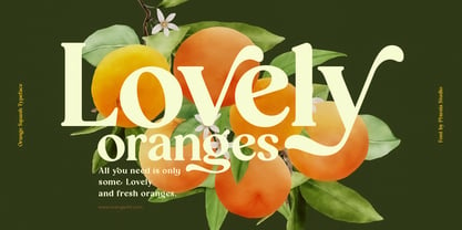 Orange Squash Font Poster 4