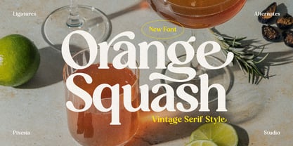 Orange Squash Font Poster 1