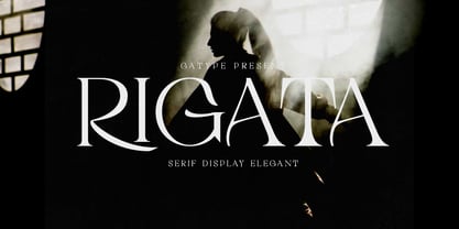 Rigata Font Poster 1