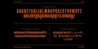 Saveyar Font Poster 13