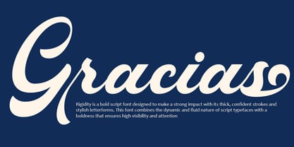 Rigidity Font Poster 8