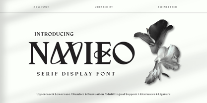 Navieo Font Poster 1