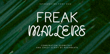 Freak Mailer Font Poster 1
