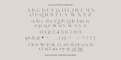 Olive & Citrus Font Poster 9