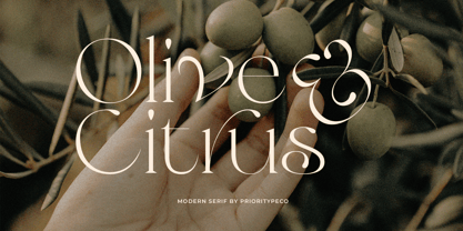 Olive & Citrus Font Poster 1