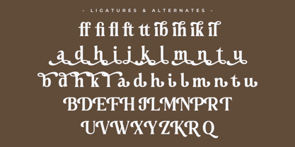 Qunaden Font Poster 8