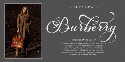 Burberry Script Font Poster 8